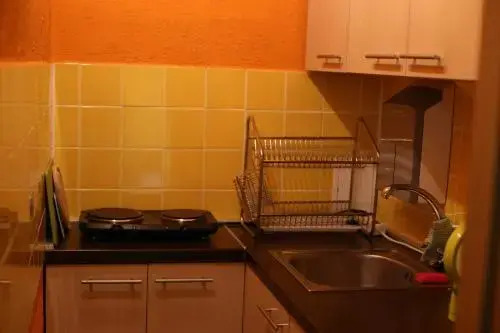 Mieszkanie Old Town Apartment