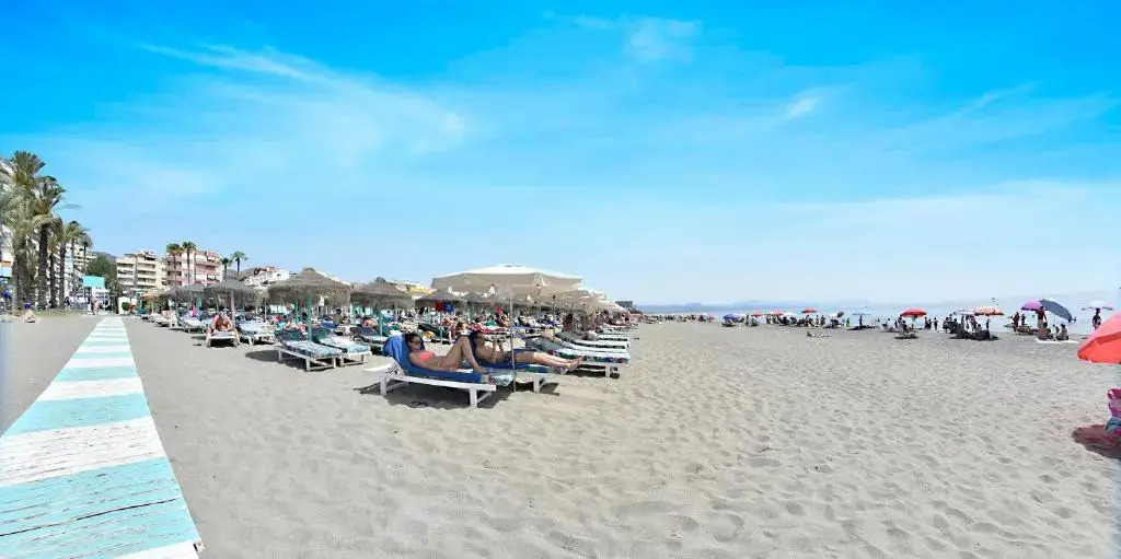 Zenplaya Bajo 3