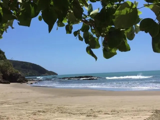 AHIPARA GOLDENSANDs