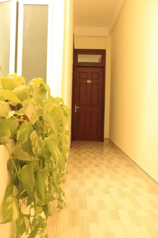 Lavender Hotel Quy Nhơn