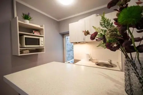 Lesi 3 Studio Apartment