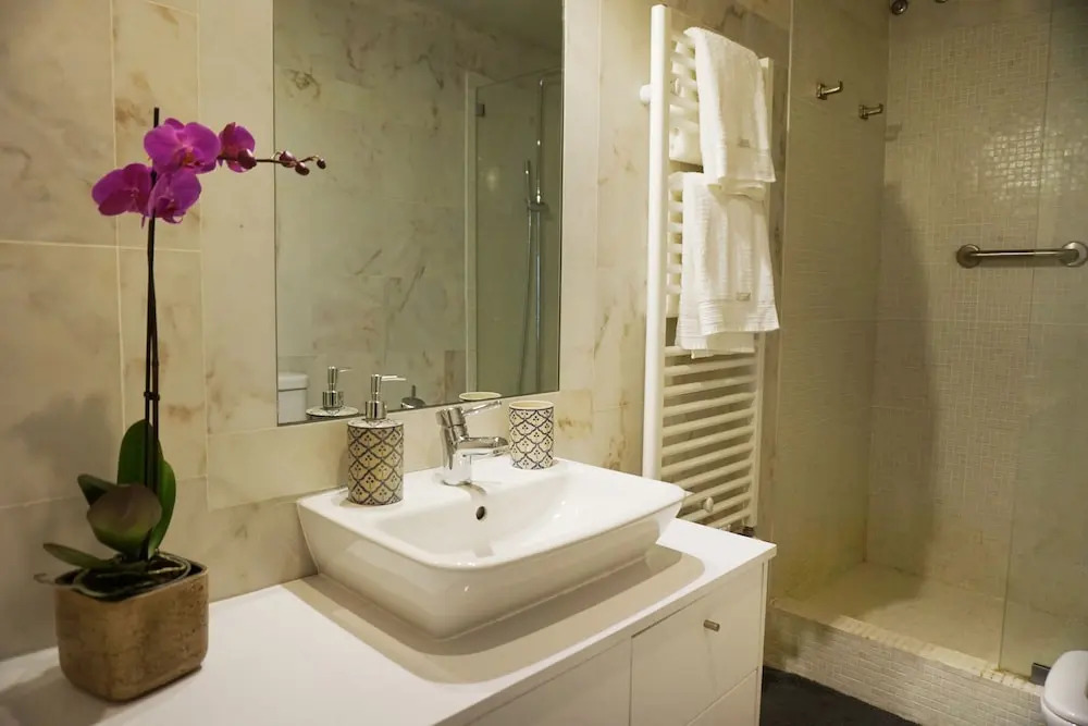 The Bonsai Apartment at Glamorous Chiado