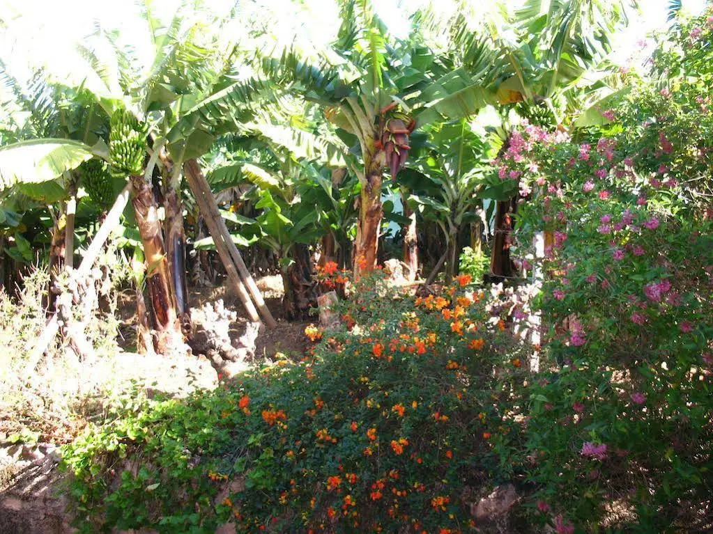 Quinta São Gonçalo