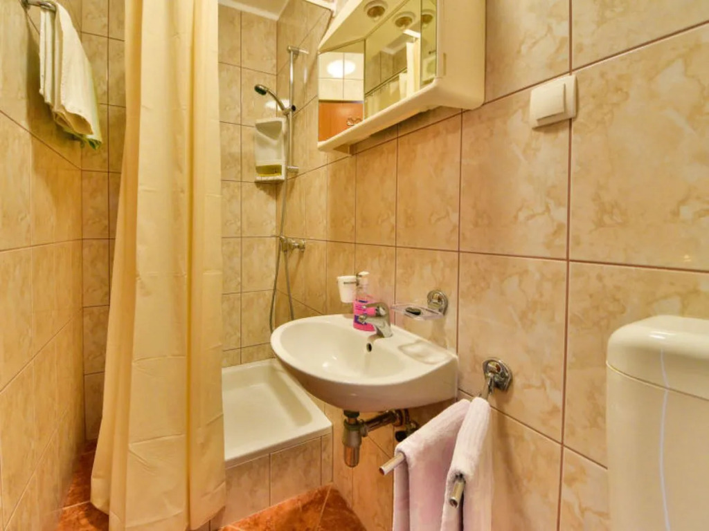 Apartment Lucija Aeschi bei Spiez 16011