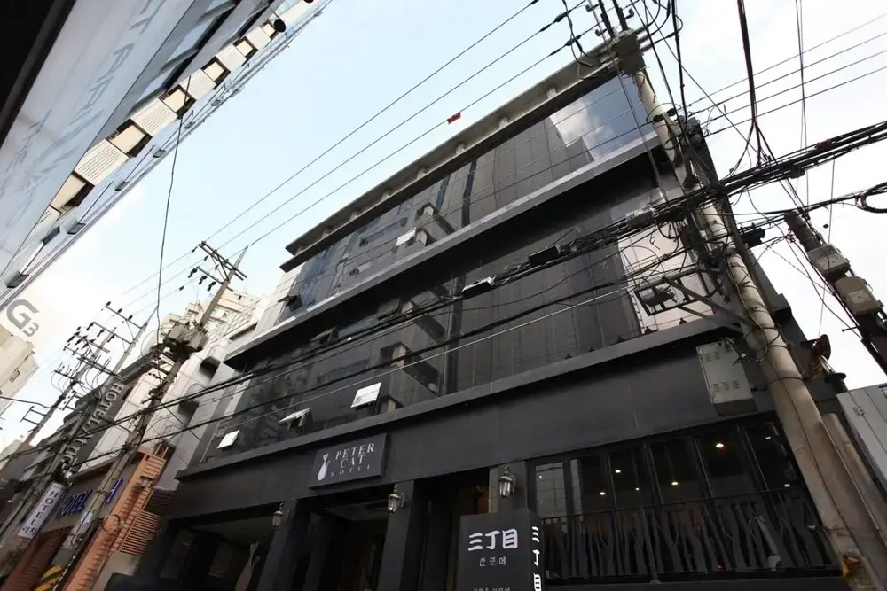 Petercat Hotel Shinchon