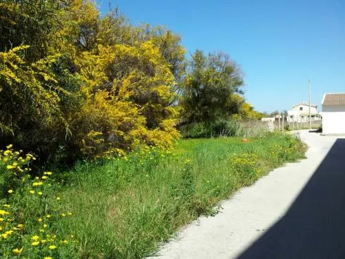 Casa Viale Lido