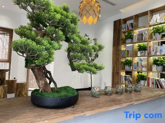 Shanpin Mountain home stay