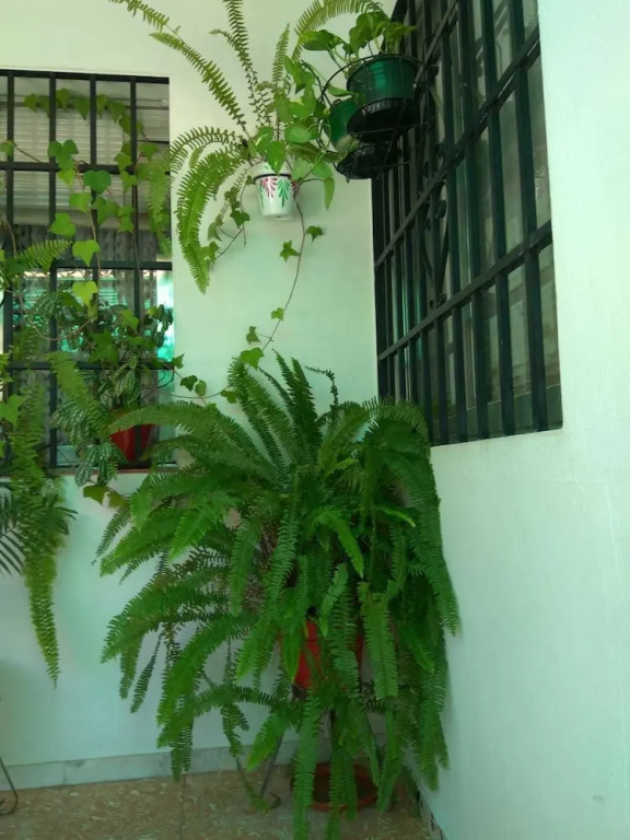 Casa Patio La Magdalena