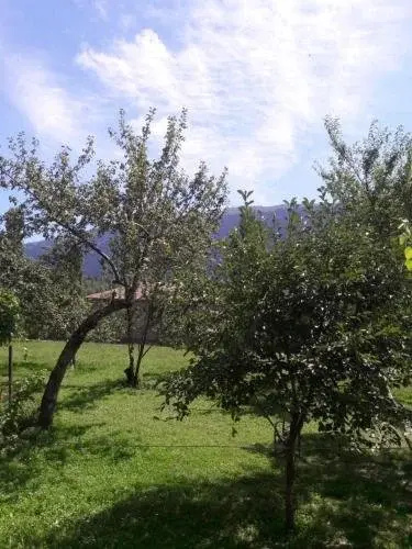 Sopio Guesthouse