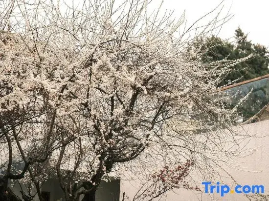 Mishan Xiyun Lake View Homestay Resort