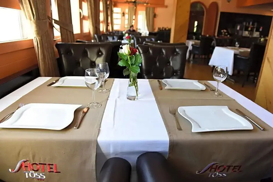 Hotel Töss