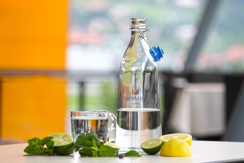 Hotel Zdravilisce - Thermana Lasko