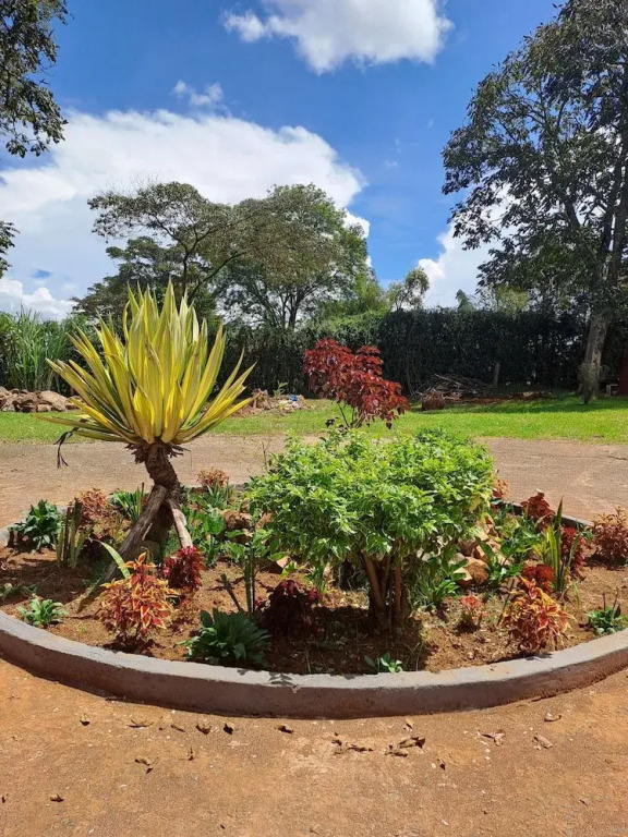 The Yala Home