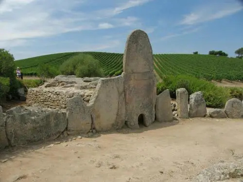 Il Melograno