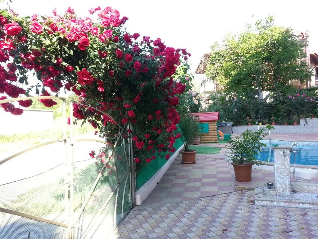 Family Hotel Mimosa