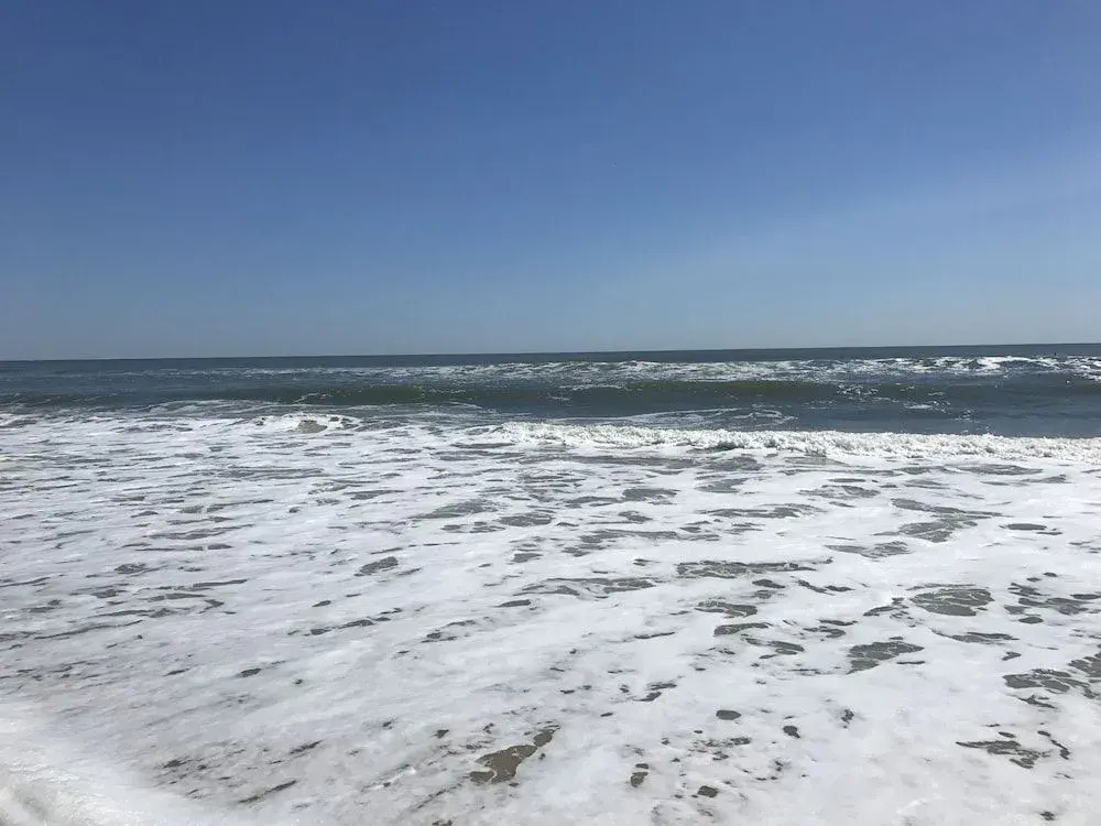 Jockey Beach 330 1 Br condo by RedAwning