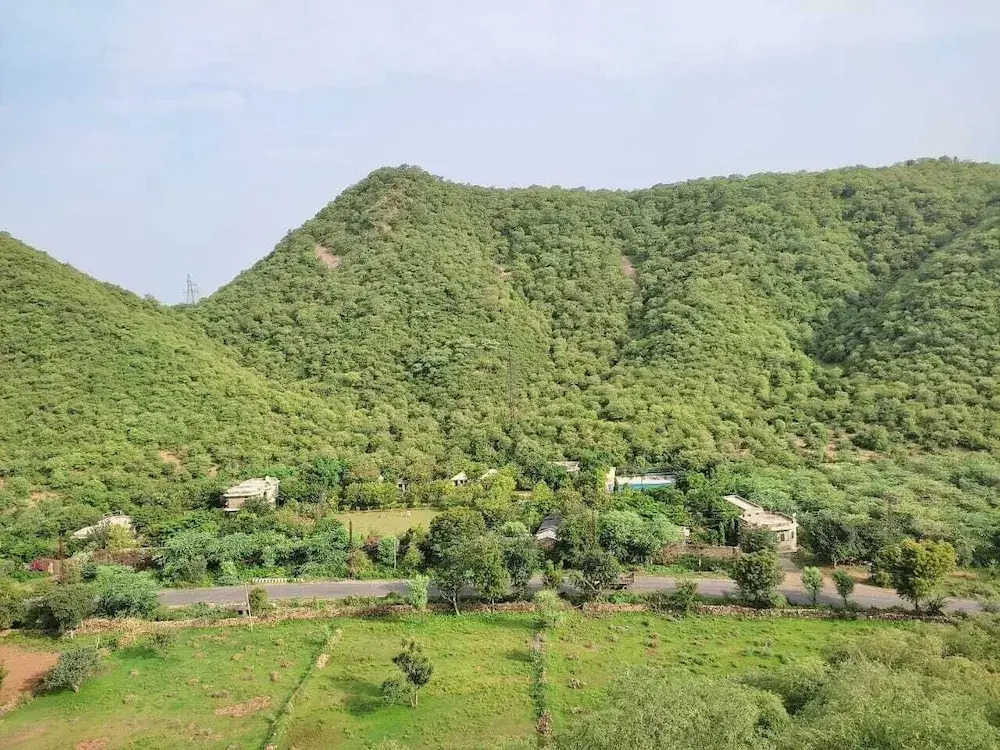 Sariska Forest Trail