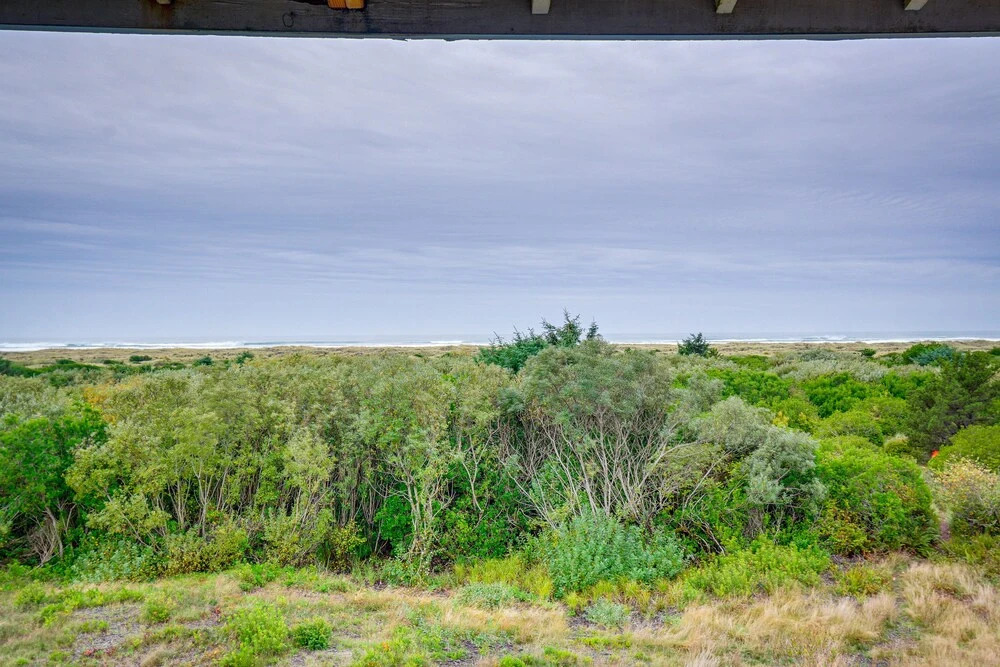 Dog-friendly Ocean Shores Condo w/ Balcony & Views
