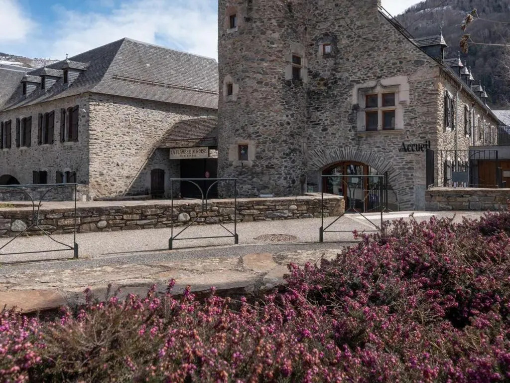 Appartement Saint-Lary-Soulan, 2 pièces, 6 personnes - FR-1-296-397