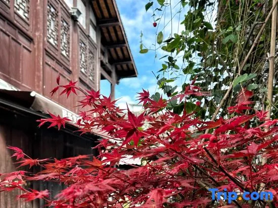 Jiezi Ancient Town Old Manor