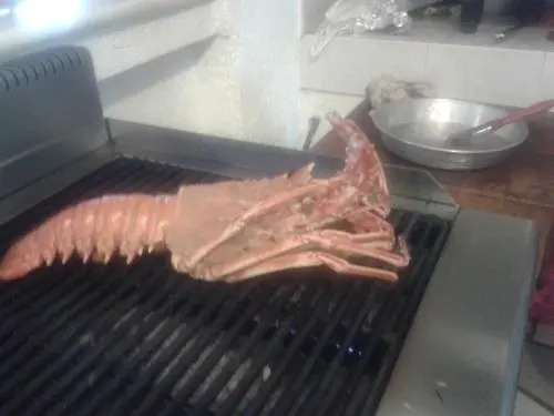 Iliovasilema