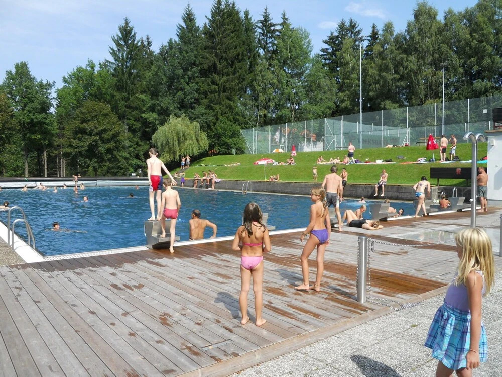 Beautiful Holiday Home in Litschau With Swimming Pool