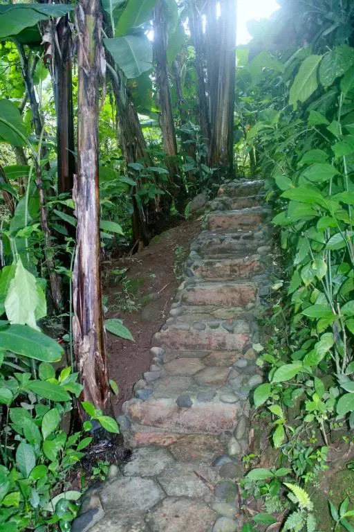 The Garden Apartment at The Hacienda