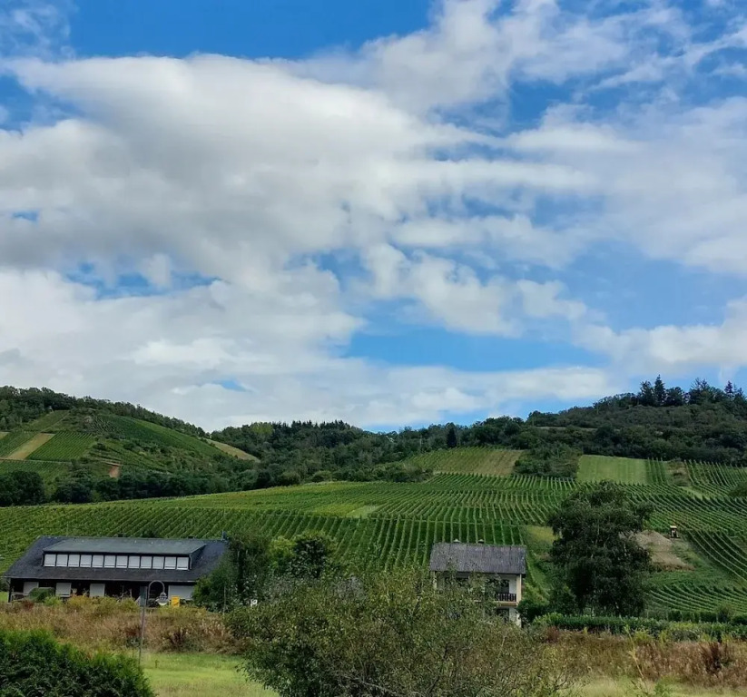 FeWos Weinbergblick Wintrich by Brauneberger Hof an der Mosel