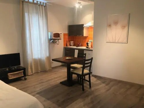 Studio Renove Dans Le Centre Ville