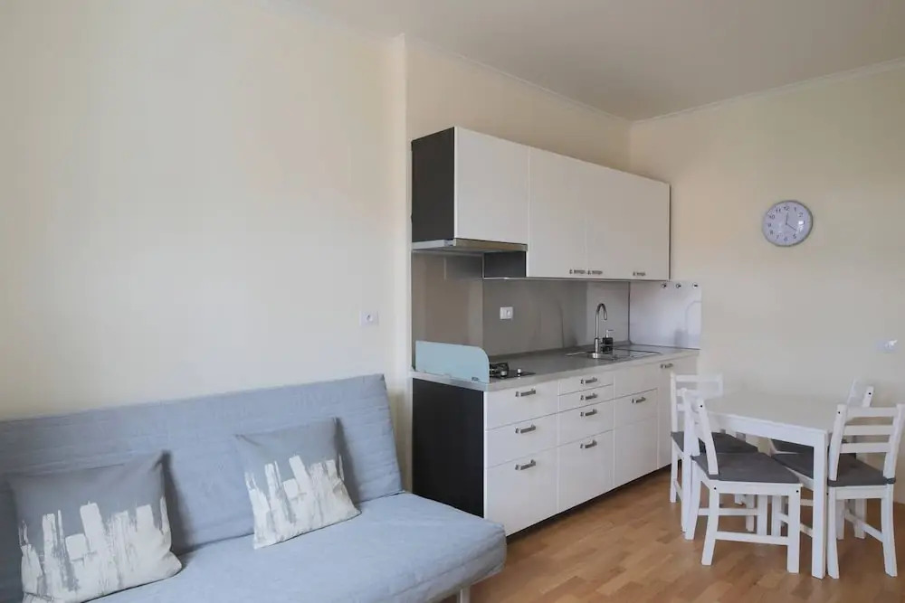 One-bedroom apartment near I.P.Pavlova