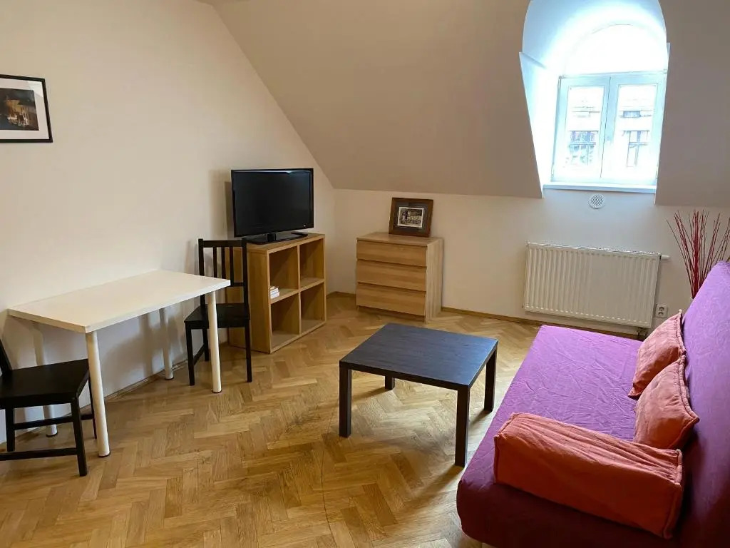 Beautiful Apartment Near Florenc Area of Prague