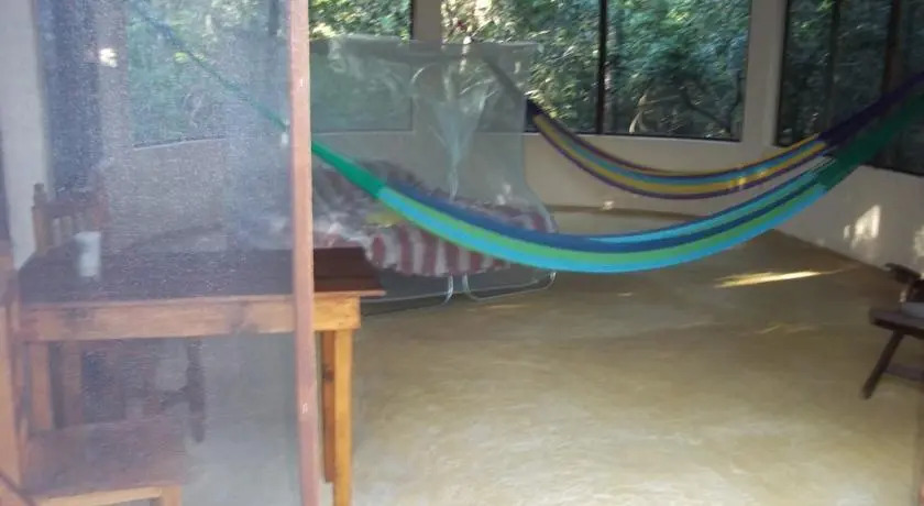 Treetop Palapa