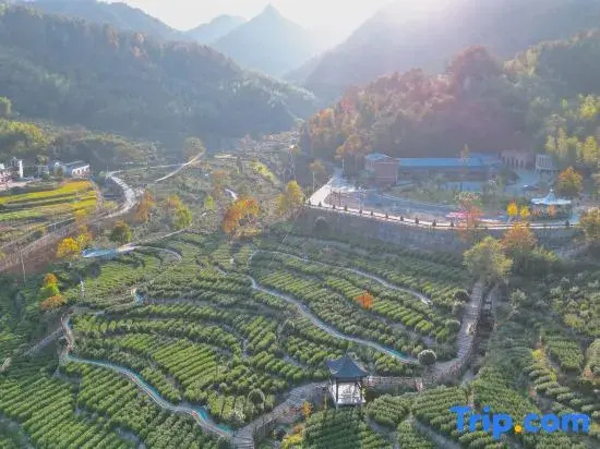 Zhuxi Tea Garden · Homestay
