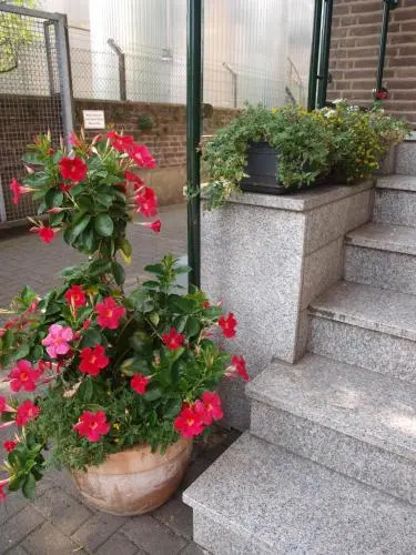 Hotel Societät