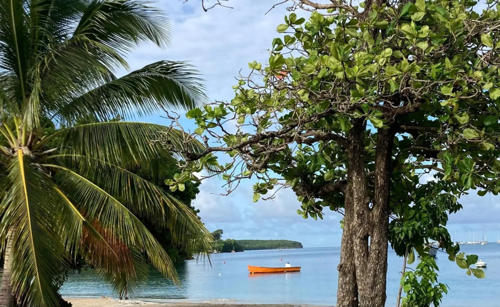 Sainte-Anne, appartement en plein centre