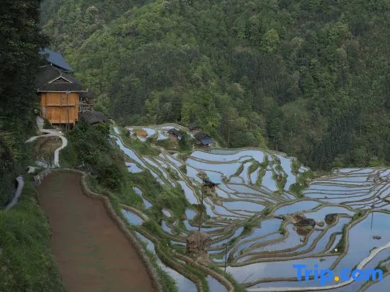 Yunhuan Mijing Hostel