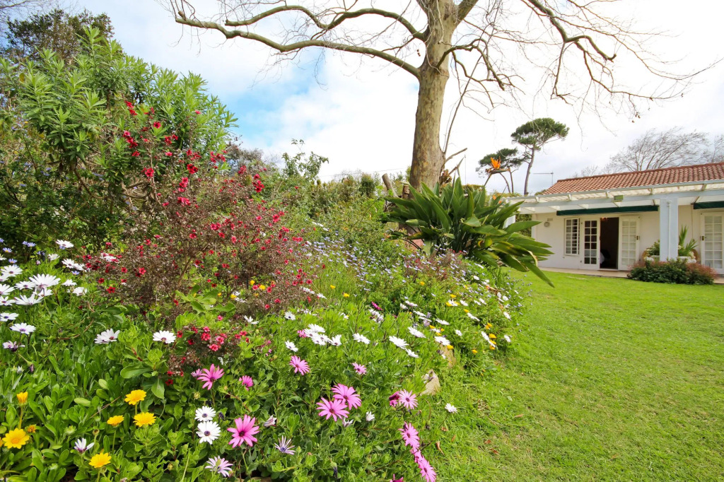 Beluga of Constantia Guest House