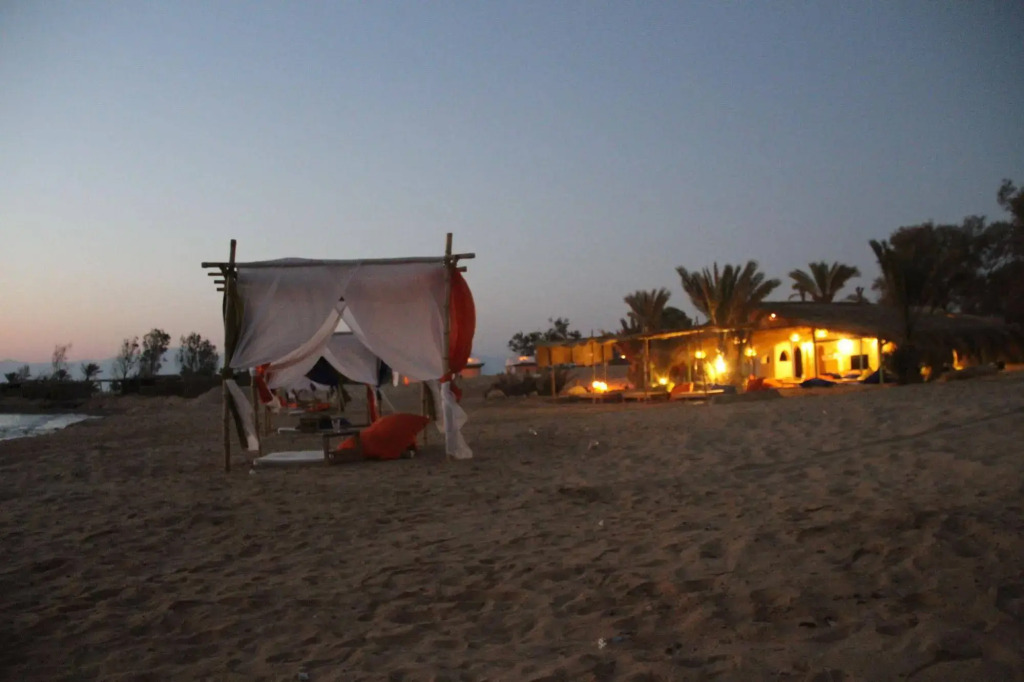 Ayla Camp