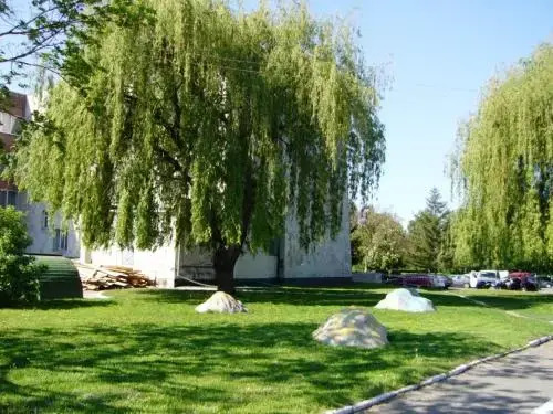 Hotel Profspilkovyi