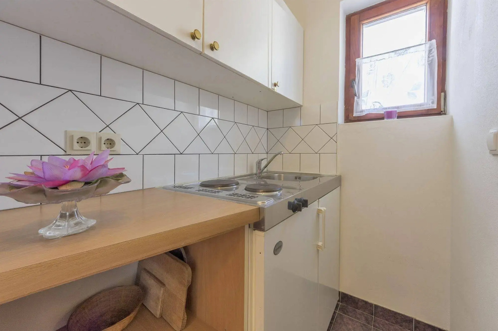 Apartments Antic