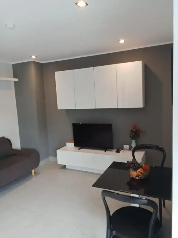 Large Corner Apt-1BR T1 207