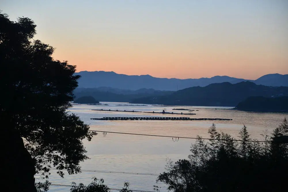 Shirahama Seaside Hotel