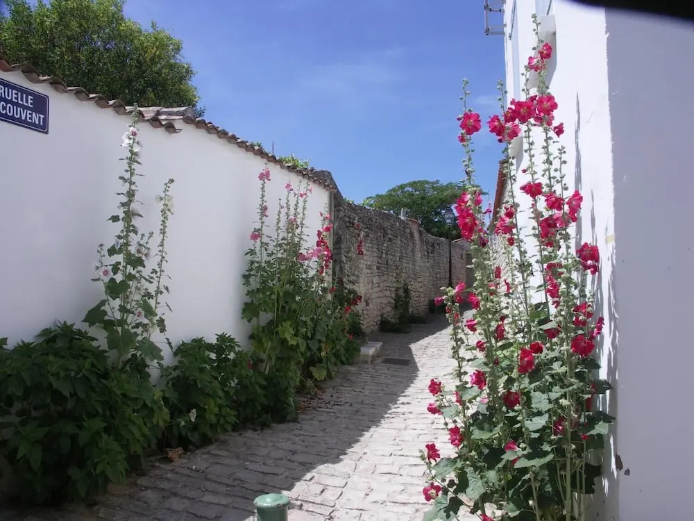 Maison Le Patio