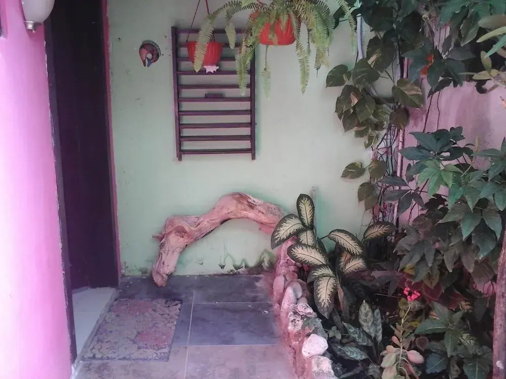 Buenos Días Guest House