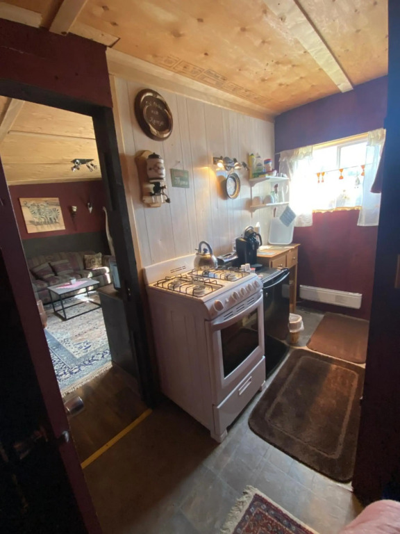 The Rustic Cabin