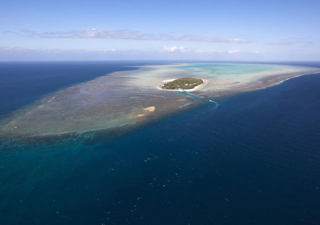 Heron Island