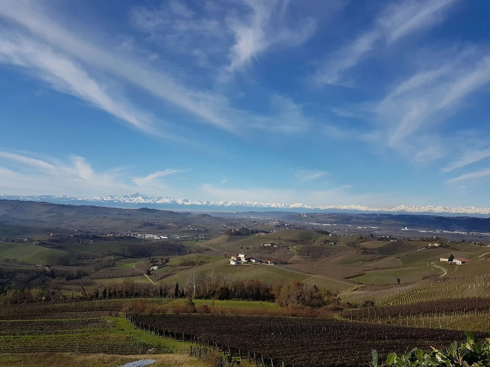 Villa Bellavista Alba, B&B