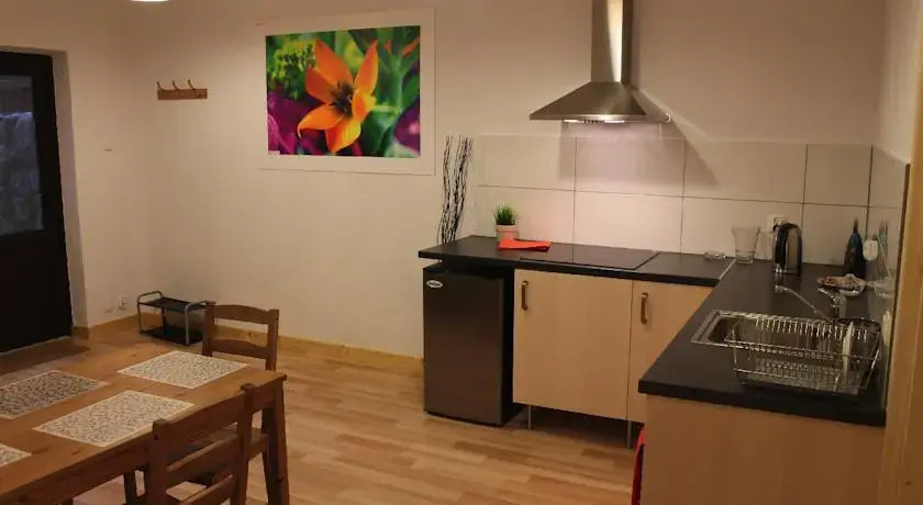 Apartament Bystre