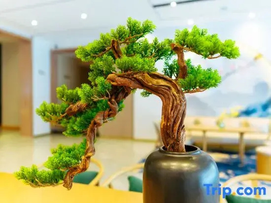 Starway Hotel (Wutai Mountain)