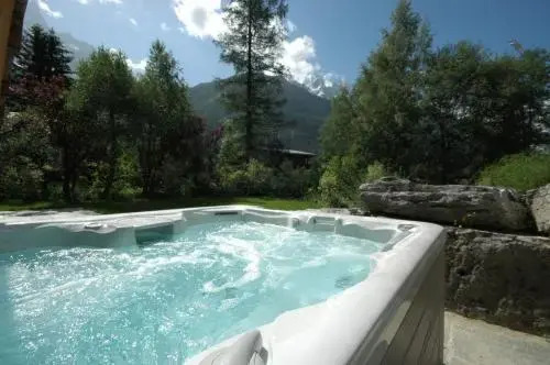 Chalet Capricorne